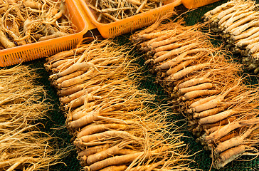 Image showing Ginseng sell in Korean market