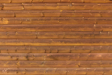 Image showing Bamboo texture 