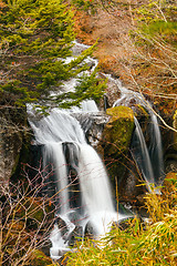 Image showing Waterfall in forest 