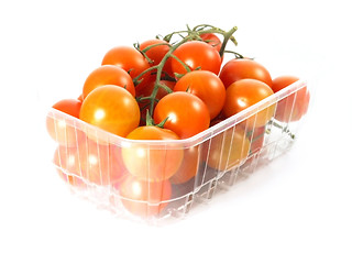 Image showing tomatoes