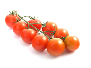 Image showing tomatoes