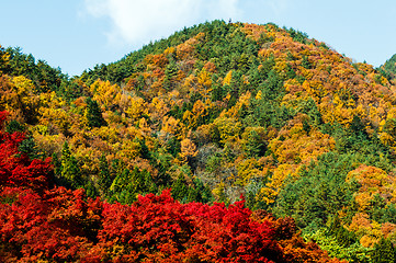 Image showing Autumn mountain