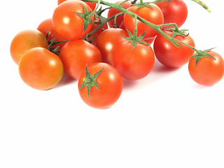 Image showing tomatoes