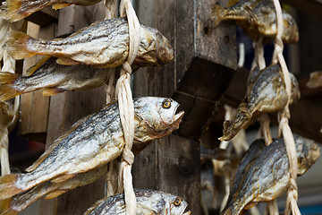 Image showing Salty fish