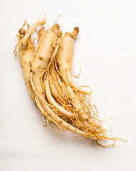 Image showing Fresh Ginseng