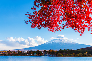 Image showing Mt. Fuji in autumn 