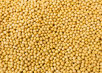 Image showing Yellow mustard Seed