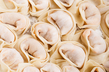 Image showing Traditional chinese dumpling