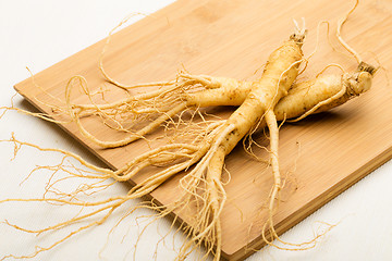 Image showing Ginseng 