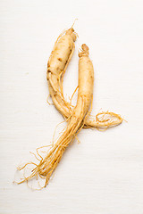 Image showing Fresh ginseng 