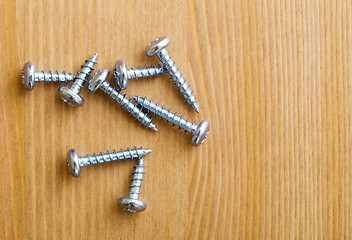 Image showing Metallic screws 