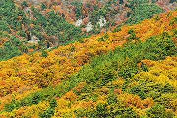 Image showing Mountain in Autumn