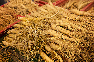 Image showing Ginseng for sell in food market