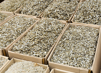 Image showing Small silver dried fish 