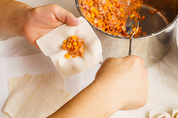 Image showing Handmade Chinese dumplings