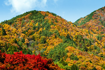 Image showing Autumn mountain