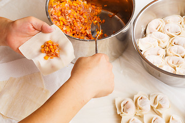 Image showing Handmade Chinese dumplings 