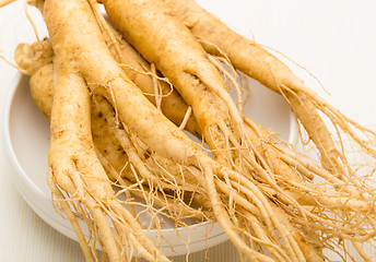 Image showing Fresh ginseng root texture