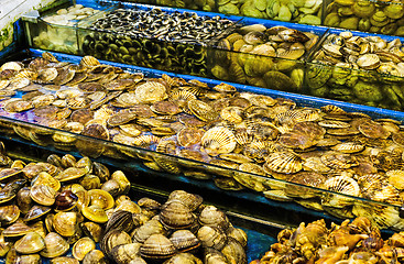 Image showing Seafood market