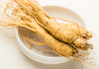 Image showing Fresh ginseng root texture 