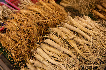 Image showing Fresh ginseng