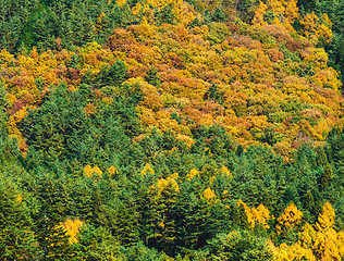 Image showing Mountain in Autumn