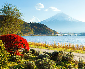 Image showing Mountain Fuji in autumn