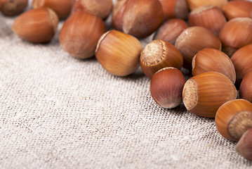 Image showing Nuts filberts isolated on white background