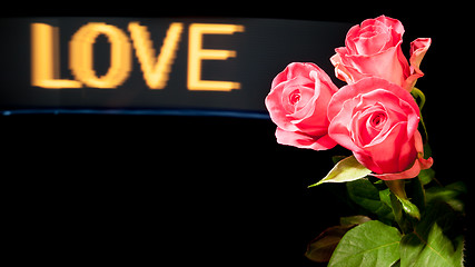 Image showing Roses with Love