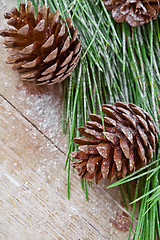 Image showing christmas fir tree with pinecones