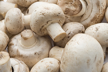 Image showing Champignon mushrooms