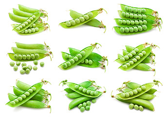 Image showing Pea