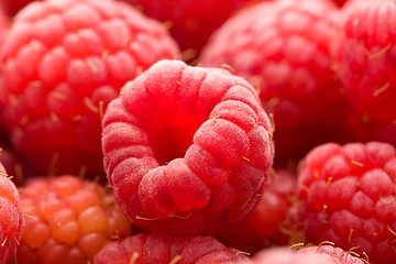 Image showing Raspberries