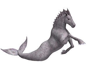 Image showing Hippocampus Mermaid's Horse