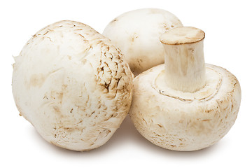 Image showing Champignon mushrooms