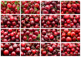 Image showing Cherry