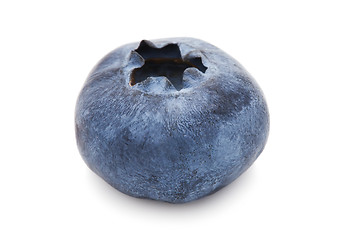 Image showing Blueberry