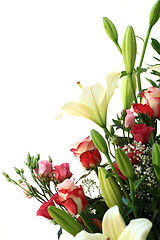 Image showing Bouquet