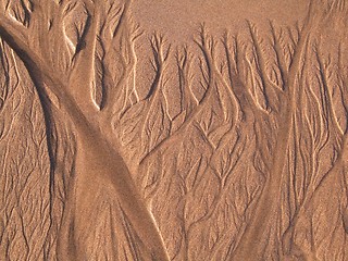 Image showing sand texture