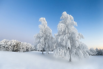 Image showing Winter morning