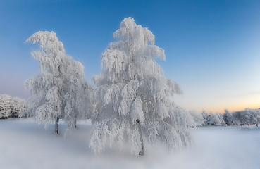 Image showing Winter morning