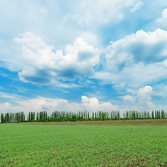 Image showing low clouds in blue sky over green field