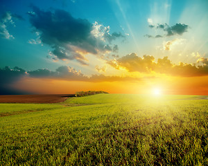 Image showing good sunset and green agriculture field