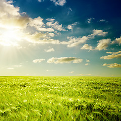 Image showing dramatic sunset and green field