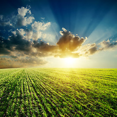 Image showing green field and sunset in cloudy sky