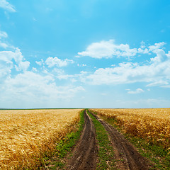 Image showing dirty road in golden fields and clouds over it