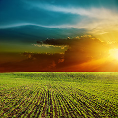 Image showing orange sunset over green field