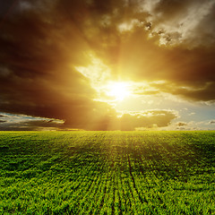 Image showing sunset over green agricultural field