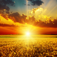 Image showing golden sunset over field with harvest