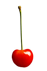 Image showing Sweet cherries